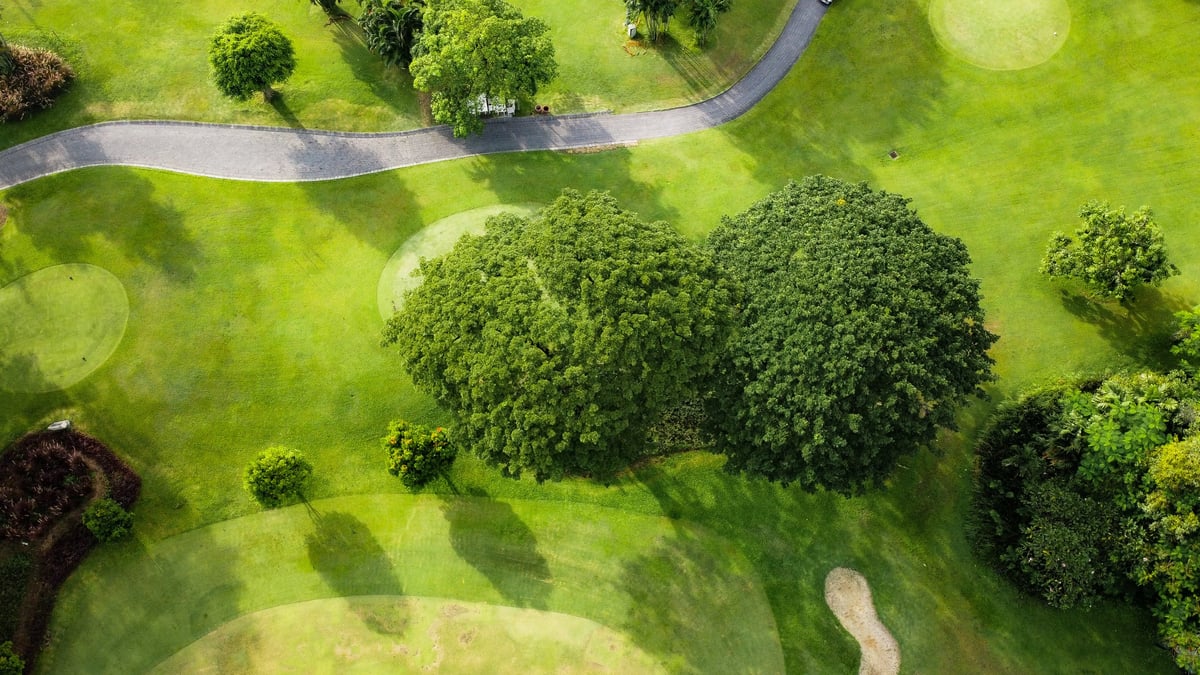 High-angle aerial view of a lush green golf course featuring putting greens, sand bunkers, winding pathways, and tropical trees. Captured with drone, showcasing a peaceful outdoor landscape ideal for sport, recreation, and luxury lifestyle themes.